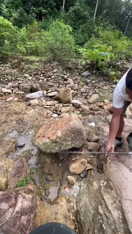 Wow!!! Found a lot of gold streaks under a large rock in a puddle. #fyp #goldmining #goldpanning#viralvideo #mininggold #goldprospecting #goldhunting #findinggold #usa #goldcoin 