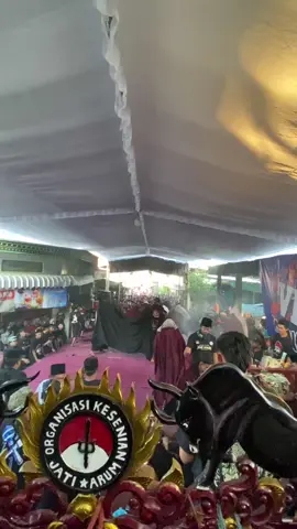 wonge amokk@cakndan027 #jatiarum #malang24jam #bantengan #seniadalahledakan💥 