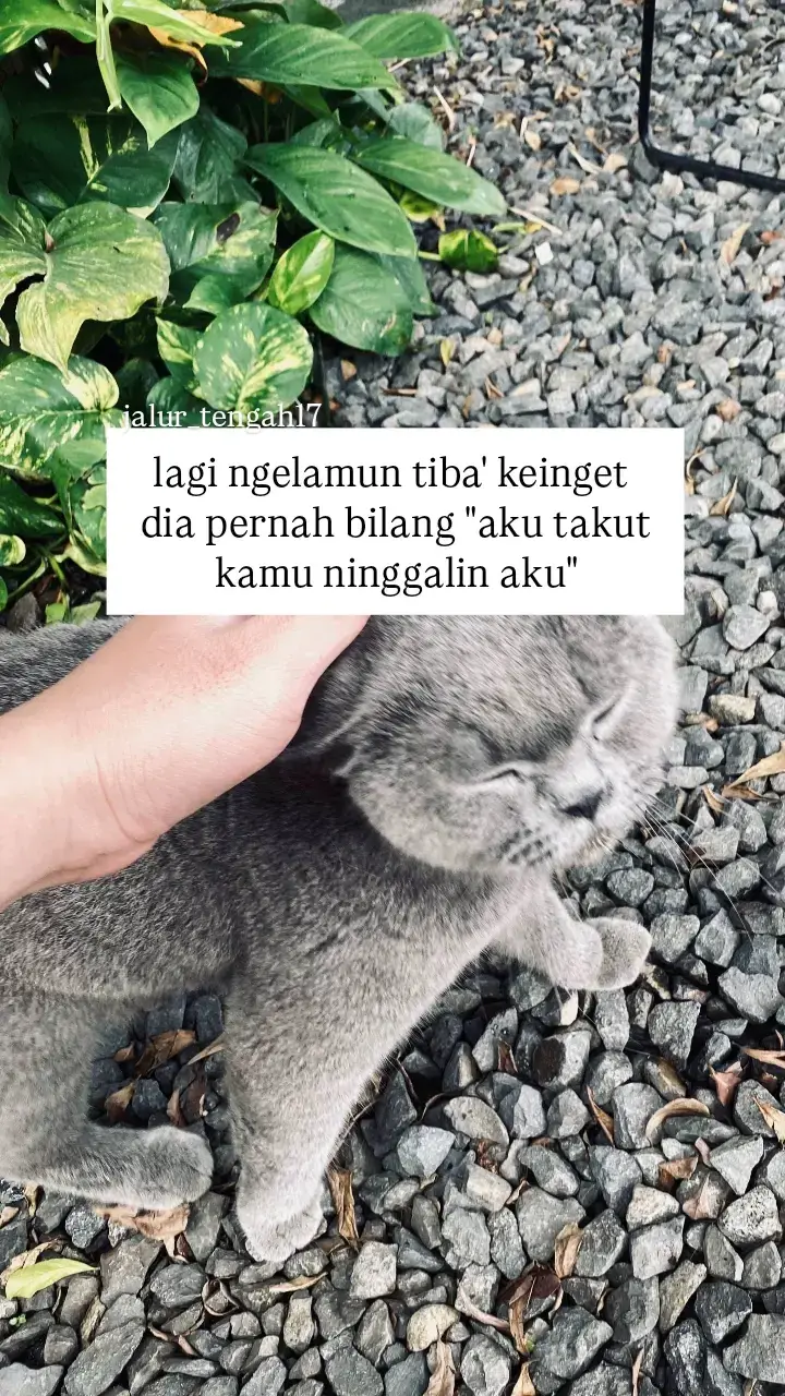 #jalur_tengah17 #fypシ #foryoupage #
