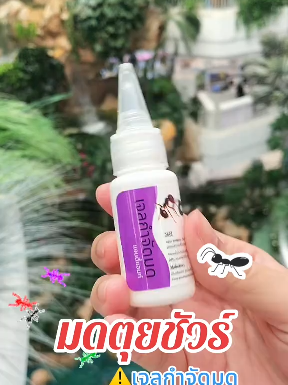 เจลกำจัดมด #เจลกําจัดมด #รีวิวเจลกําจัดมด #แอนท์เบทเจลกําจัดมดยกรัง #เจลกําจัดมดantiant