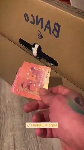 #cat #catsoftiktok #catlovers #cats #funnycats #catlover #funnycat #fyp 