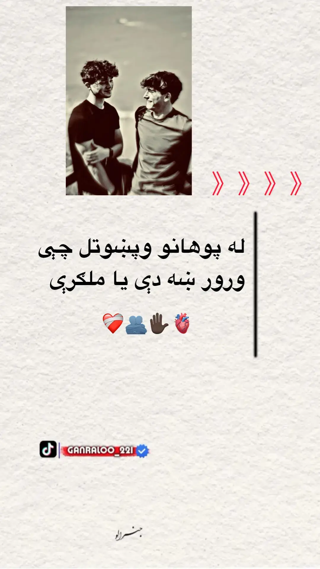 #د_ملګرې_ورځ_مو_مبارک_شه🥳 🫀🫂#furyou #Rapost #100kviews #ملتیا_مې_وکړه📚 #💔🥹📎💔🥀 