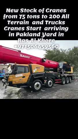 New unmatched Stock of fresh Sany cranes arrived @Pakland Ras al khor Yard arrived #dubai #cranes #sany #fyp #heavyequipment 