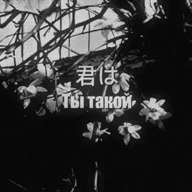 9lana – propose #lyrics #song #fyp #on #japanesesong #japanese #текстпесни #переводпесни #рекомендаций #вреки #рек 