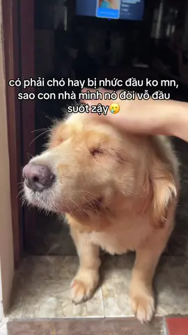 điểm G ở đầu lun nè.