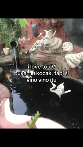 requets? #crush? #kontenviral #fyp 