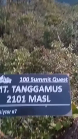 lautan awan + sunset dipuncak gunung tanggamus🤩 vidio by: @bidul889  #4u #tanggamus24jam #mountnesia #creatorsearchinsights #gunungtanggamuslampung #lampunggeh #foryoupage #gununglampung #lampunghits #gisting #puncakgunungtanggamus #fyp #pendakigunung #sunsetvibes  #pendakigunung 