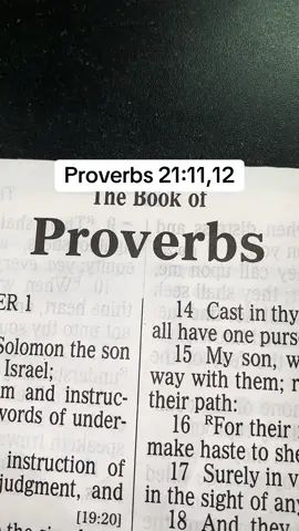 #Jesus #ScriptureReading #Christ #Messiah #Gospel #TheSonOfMan #Worship #Joy #Grace #Mercy #Word #Truth #Bible #Scripture #ForYourPage #ForYou #FYP #Christian #Prayer #christiantiktok #Praise #Wisdom #Knowledge #Understanding #Faith #Love #Hope #God #Peace 