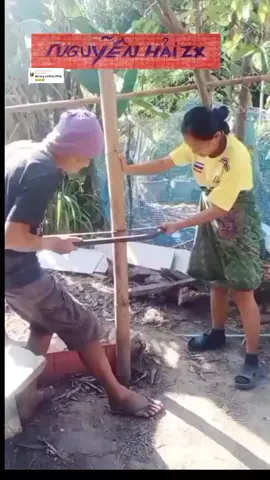 Trả lời @kieuloan669  #hashtag  #xuhuongtiktok #giải trí hài hước  #nguyễn hải zx 