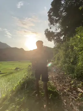cảnh đang đẹp😒
