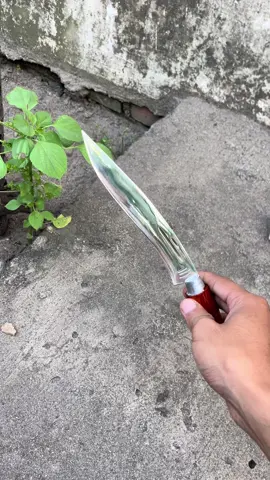 PISAU BAJA PUTIH ANTI KARAT#pisauantikarat #pisauviral #pisaubuah #pisautajam🔪 #pisauset #pisaudapur #juraganayam #fyp #fypシ゚viral #vidioviraltiktok 