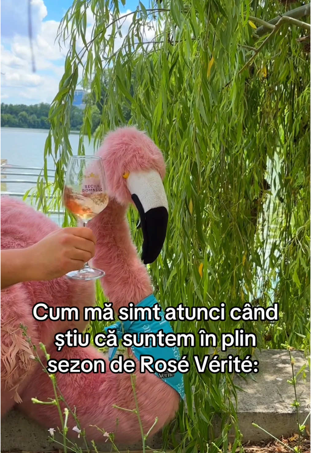 Să înceapă terapia 🦩🦩🦩 #365deziledevara #LaVidaEnRose #funny #romania #cheers #vara #vacanta 