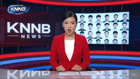 Elderly uncle is implicated the Nanjing Sister Hong scandal.  #uncle #news #红姐 #sisterhong #veo3