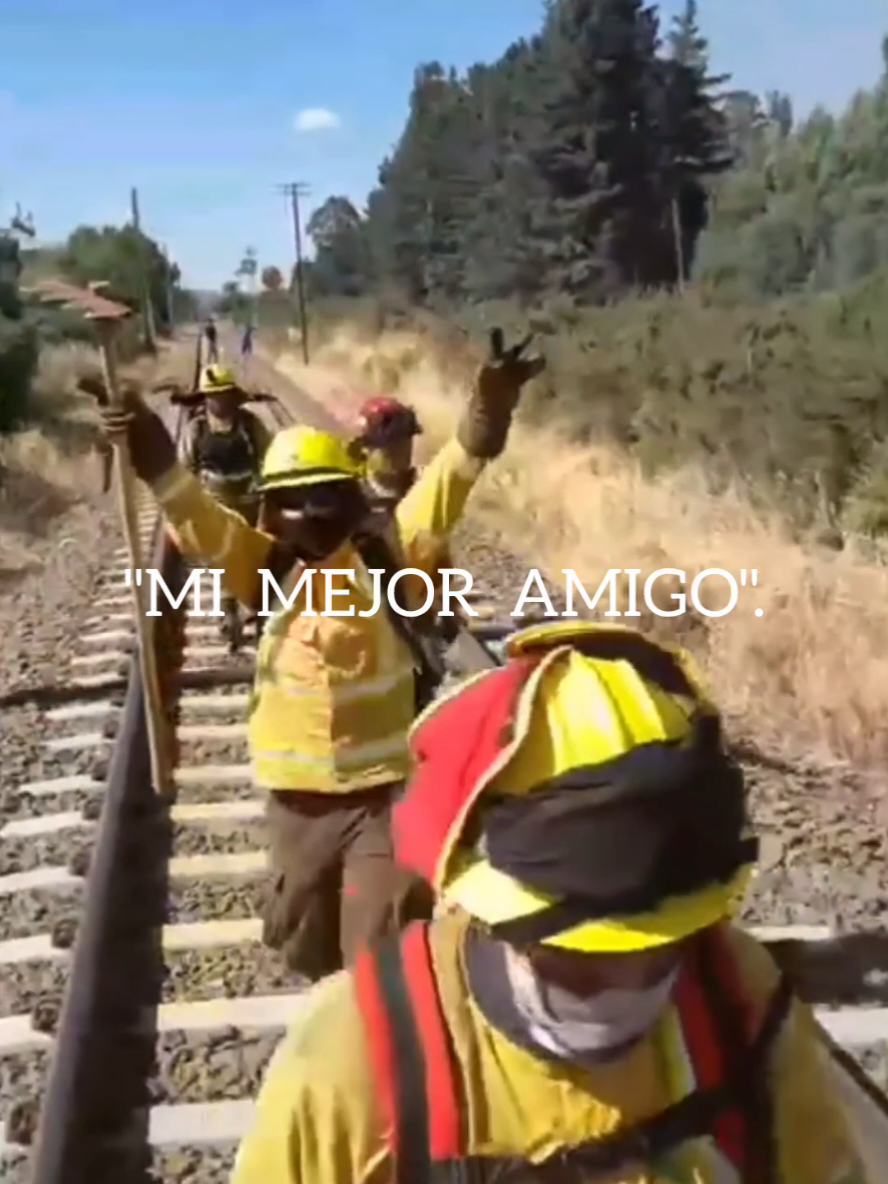 Yo sabía ¡hice una buena elección! ¿en qué? 