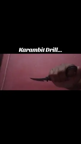 Just showing the drill... #karambit #martialarts #silat #fighting #fypシ゚viral #fyp 