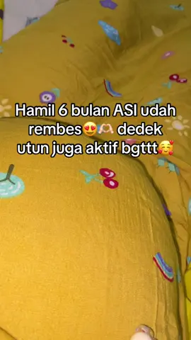 #bumil #susupelancarasi #asibooster 