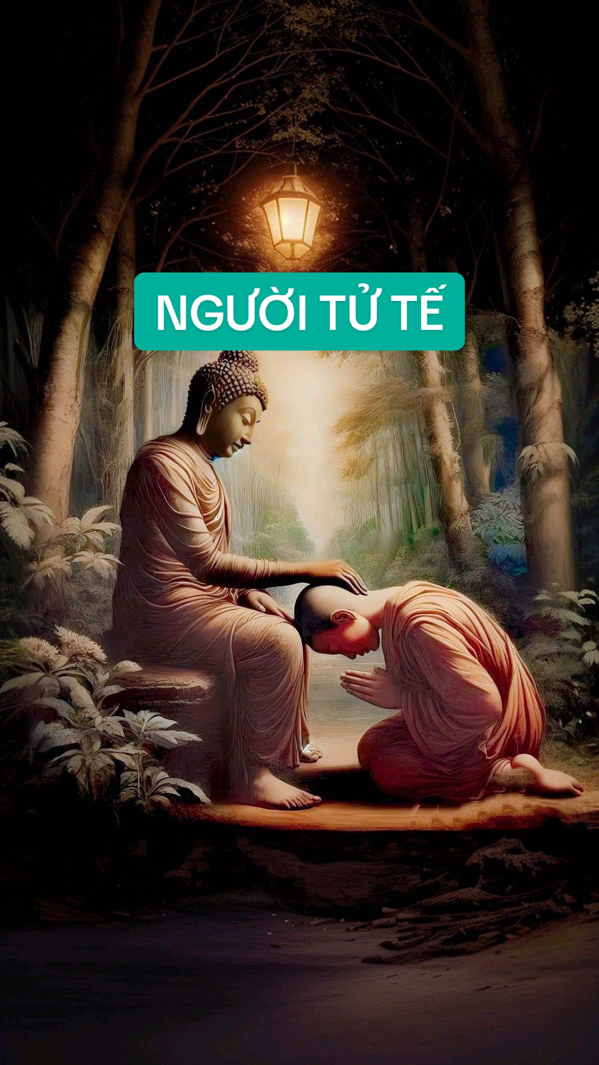 #phatphapnhiemmau🙏🙏🙏 #nammoadidaphat #luatnhanqua #xuhuong #loiphatday #anvui #phatphapnhiemmau 
