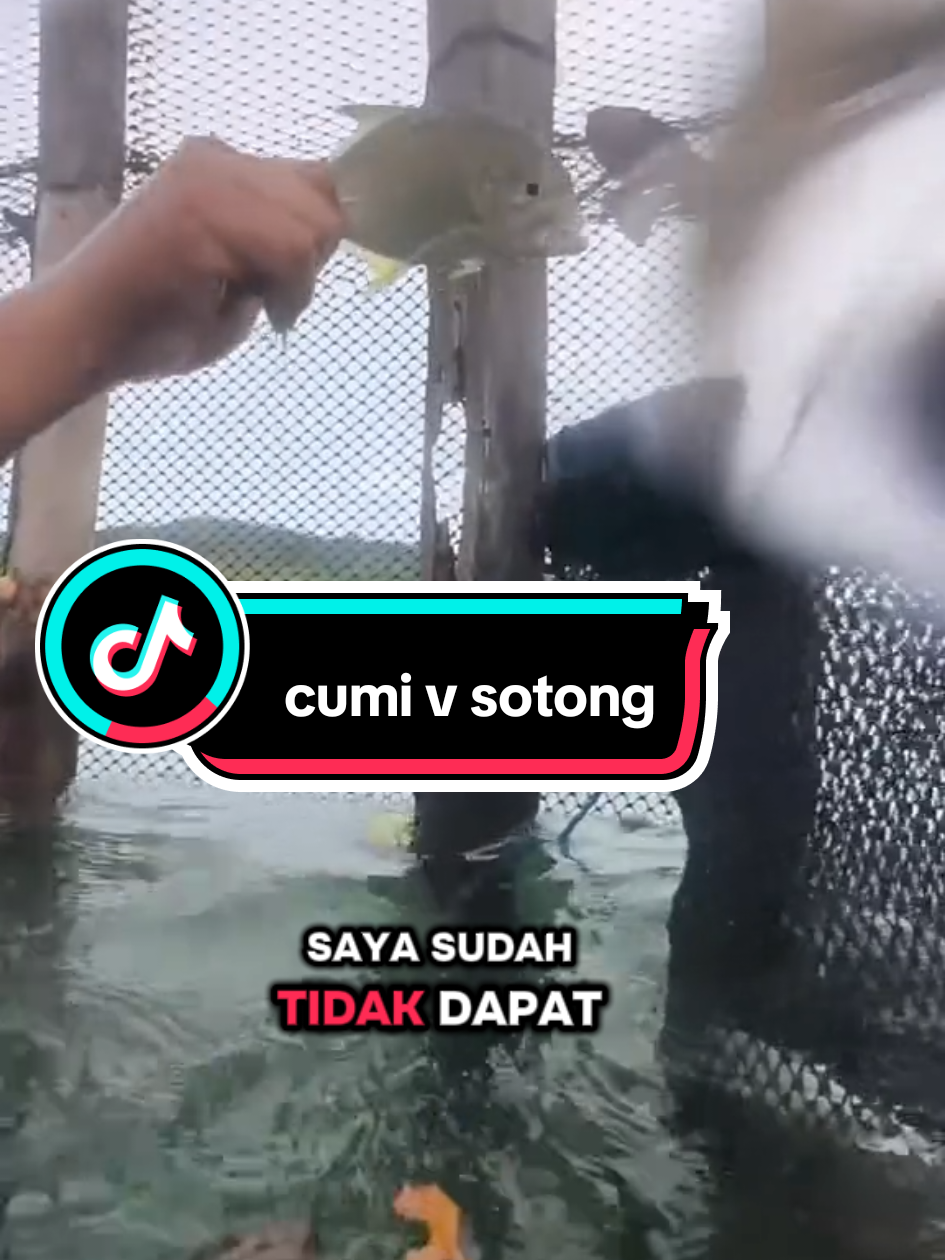 Air laut sangat jerni banyak ikan masuk cumi sotong. #balla #sero #perangkap  #tiktok #fyp #viral #videotiktok 