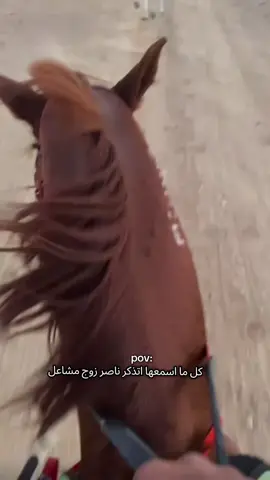 مين لسا ما حضر قصة هيا ومشعل #هيا#قصة_حقيقية #قصص_رون #قصص #مشعل #الشعب_الصيني_ماله_حل😂😂 #اكسبلور 