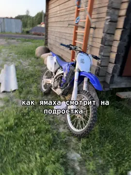 тгк gangstersnyrma 