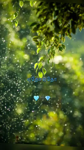 #Kandenkanden#vidyasagar #sweta #karthik #tamilsong #lovesong #trending 