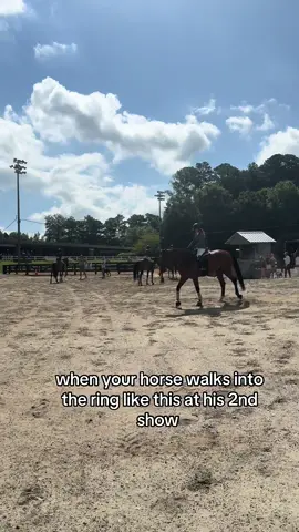 ready to rip 🔥🔥 #fyp #equestrian #foryoupage #fyppppppppppppppppppppppp #horsegirl #viral #viralvideosofficial #fypdongggggggg #horsetok #giant4yearold #horselife #horses #horsesontiktok #fypp #horse #horseshow #equestrianlife #fypシ 