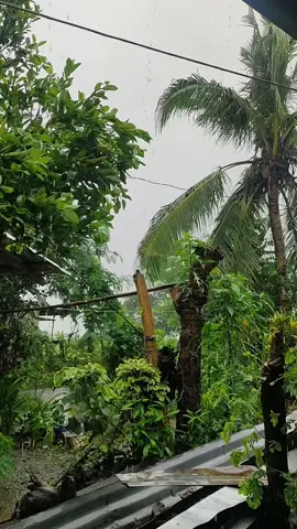 sarap gumising' sa ma'ulang umaga'☘️☕🌧️#rain #kape #KapeTayo #fyppppppppppppppppppppppp  #fypage #nuevaecija #rainyday 