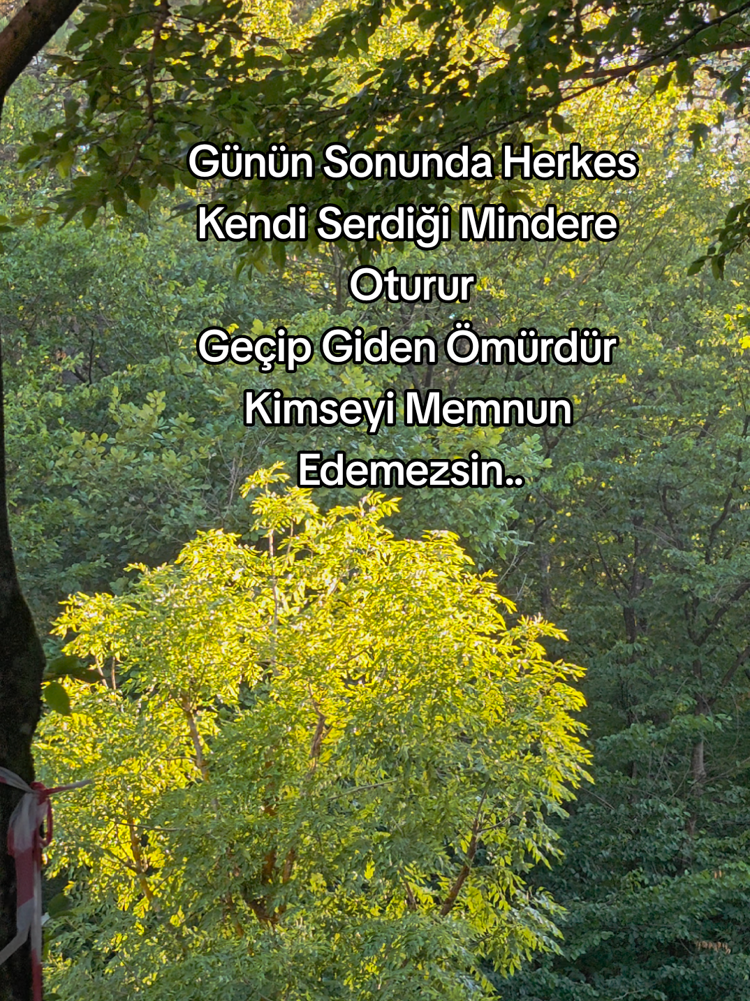 Ferdi Tayfur ♥️ Buldu Dediler #ferditayfurhayranları #ferditayfur #ferditayfursarkilari #arabeskşarkılar #ferditayfursevenler 