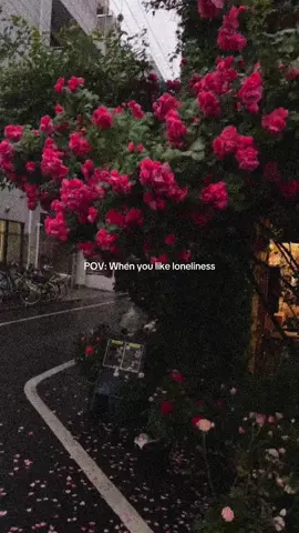 Struggle In The Downpour Of Rain#struggleinthedownpourofrain 