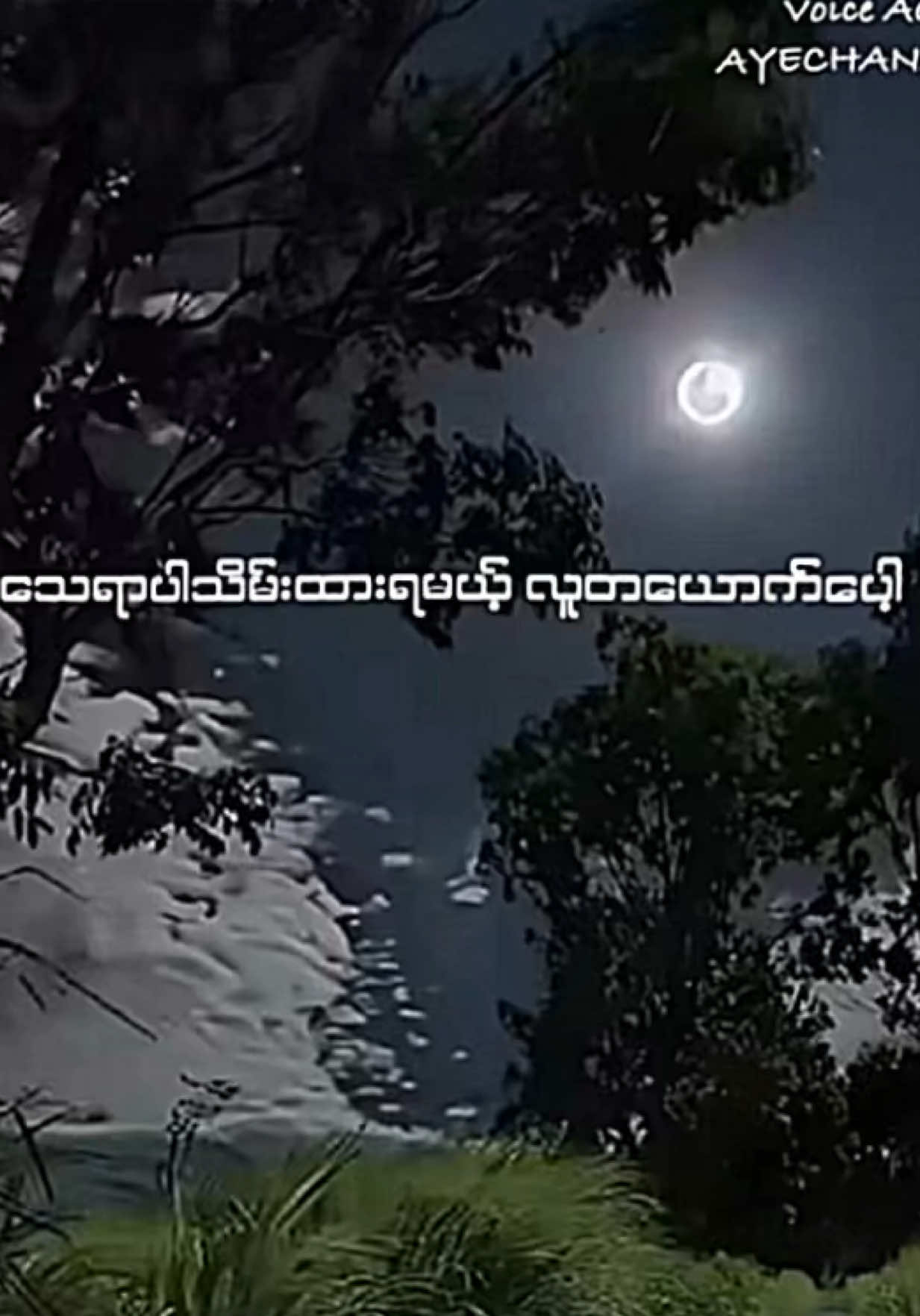 #ရှိကြလား #မှုရင်းပိုင်ရှင်အားcrdပေးပါတယ် #စာတို #စာပေ #ကဗျာချစ်သူ #voiceactor #AYECHANAUNG #ရောက်ချင်တဲ့နေရာရောက်👌 #chitthaw💟 #ဒီတစ်ပုဒ်တော့fypပေါ်ရောက်ချင်တယ် #pfypシ #음성효과 
