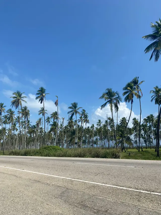 #fyp #paratiiiiiiiiiiiiiiiiiiiiiiiiiiiiiii #chichiriviche #venezuela #foryou 