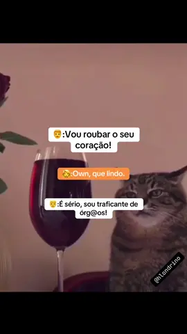 😹😹#hlondrino #helviolondrino 