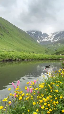 Juta Valley, Georgia 🇬🇪  #chroniclesofgeorgia #kazbegi #trinitychurch #gveletiwaterfall #caucasus #caucasusmountains #juta #georgia #georgia🇬🇪 #spendyoursummeringeorgia #georgiatravel #jutageorgia #จอร์เจีย #tbilisi #tbilisi🇬🇪 