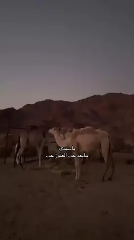 أنشهد#اكسبلور #fyp #اكسبلورexplore #عنزه 