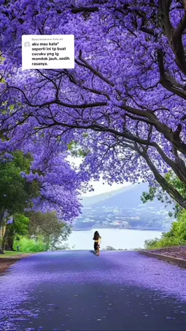 Membalas @batu.air semoga suka dengan vt nya#foryoupagе #🙏 