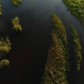 Farewell to The Diamond, he had a career few can match. #UFC #dustinpoirier #retirement #dontbesillyjumpthegilly 