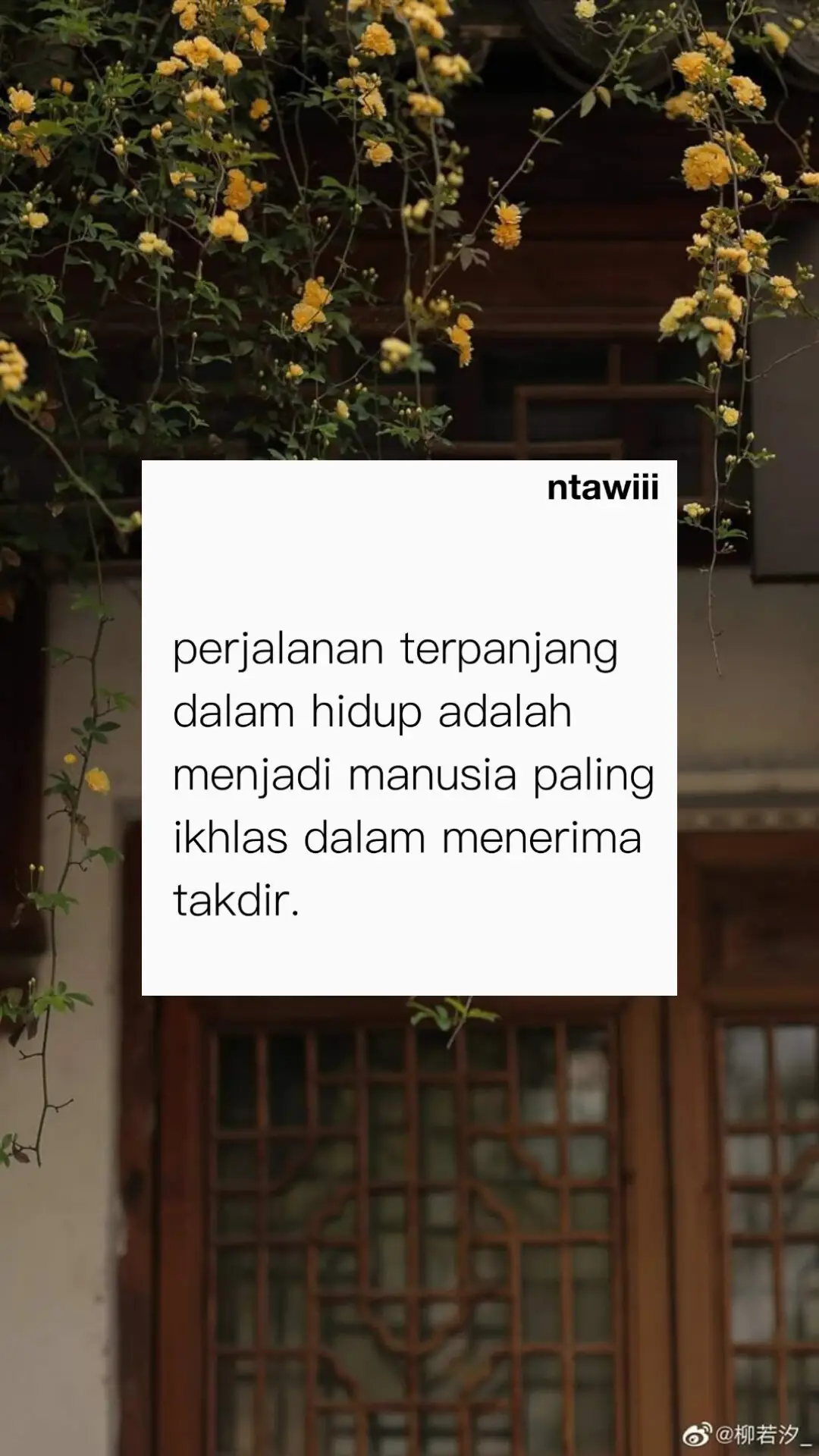 #fyp #qoutes #4u #xyzbca #foryoupage 