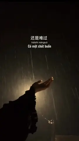 Song Name : ÔM GÁNH NẶNG NGÀN CÂN TRƯỞNG THÀNH / 负重一万斤长大 #omganhnangngancantruongthanh #负重一万斤长大 #nhactrung #lyrics_songs #tiktokfyp 