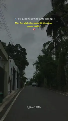 එයා මන් නිසා අවුල් වෙලා ❤️‍🩹