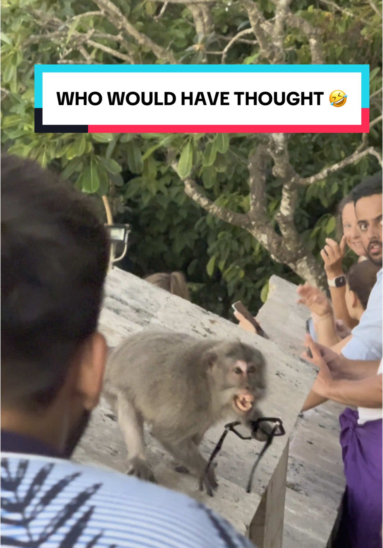 this was insane 🤣be careful out there 🤣 #bali #uluwatu #uluwatutemple #balimonkeys #monkeys #funnysituation #balilife #balinese #balitravel #baliindonesia 
