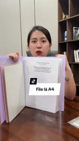 Giấy tờ quan trọng để vào đây tìm cho dễ, không sợ hỏng #filelaa4 #filedungtailieu #ngocngannga 