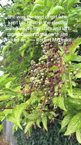 #fypp #robertmdrake#kindgirl#fakeeran#noransisters #lovestory #peace