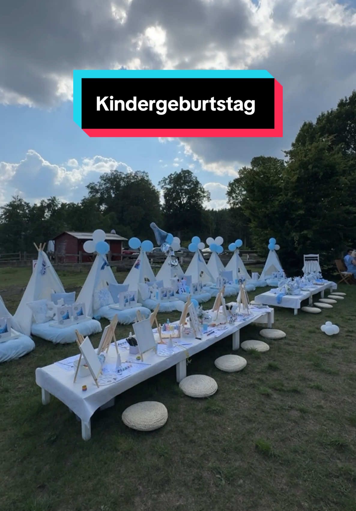 Der schönste Kindergeburtstag 🥹🤍 wie findet ihr es? @Nessi | Princess Charming 2025 #kindergeburtstag #party #feier #elsa #frozen 