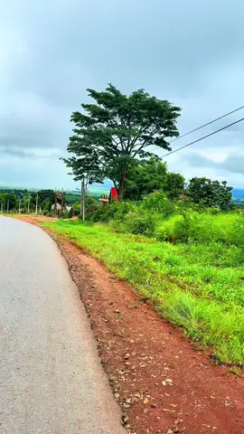 #နေဝင်ချိန်တွေအတူရှိခဲ့ဘူးတယ်🌈ခုတော့လဲ🥺လွမ်းနေရုံသက်သက်🥺 #မူရင်းကိုcrdပေးပါတယ် #ကဗျာချစ်သူ #မင်းတို့idolဖစ်ချင်လို့🤭💖 #အသည်းပေးတဲ့သူတိုင်းကိုချစ်ပါတယ်😍😘😘 #တောင်ကြီးမြို့ #ရှမ်းပြည်တောင်ပိုင်း #တောင်ကြီးသား #ကြေကွဲလူငယ်၄ #myanmartiktok🇲🇲🇲🇲 #စာစုလေးများ🌼🌺🌼🌺 #fyppppppppppppppppppppppp #foryoupage #theanh28 #flypシ #viewရှယ်ကျ #နောက်ကျမှတင်တော့ဖလုတ်ပြီပေါ့😩  @komoehtet42 @Bhone Myint Myat @🇲🇲MoeHtet🇲🇲MyanmarBiker🫶 