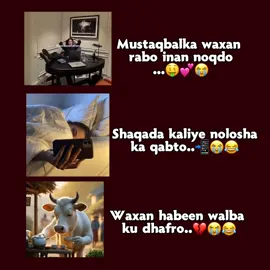 @♡ ilahey dhibkaan hano dhib dhamo😭😂💔#fyyyyyyyyyyyyyyyyyyy #fyyyyyyyyyyyyyyyyyyy #fyyyyyyyyyyyyyyyyyyy #fyyyyyyyyyyyyyyyyyyy #fyyyyyyyyyyyyyyyyyyy #fyyyyyyyyyyyyyyyyyyy #fyyyyyyyyyyyyyyyyyyy #fyyyyyyyyyyyyyyyyyyy #fyyyyyyyyyyyyyyyyyyy #fyyyyyyyyyyyyyyyyyyy #fyyyyyyyyyyyyyyyyyyy #fyyyyyyyyyyyyyyyyyyy #fyyyyyyyyyyyyyyyyyyy #fyyyyyyyyyyyyyyyyyyy #fyyyyyyyyyyyyyyyyyyy #fyyyyyyyyyyyyyyyyyyy #fyyyyyyyyyyyyyyyyyyy #fyyyyyyyyyyyyyyyyyyy #fyyyyyyyyyyyyyyyyyyy #fyyyyyyyyyyyyyyyyyyy #fyyyyyyyyyyyyyyyyyyy #fyyyyyyyyyyyyyyyyyyy #fyyyyyyyyyyyyyyyyyyy #fyyyyyyyyyyyyyyyyyyy #fyyyyyyyyyyyyyyyyyyy #fyyyyyyyyyyyyyyyyyyy #fyyyyyyyyyyyyyyyyyyy #fyyyyyyyyyyyyyyyyyyy #fyyyyyyyyyyyyyyyyyyy #fyyyyyyyyyyyyyyyyyyy #fyyyyyyyyyyyyyyyyyyy #fyyyyyyyyyyyyyyyyyyy #fyyyyyyyyyyyyyyyyyyy #fyyyyyyyyyyyyyyyyyyy #fyyyyyyyyyyyyyyyyyyy #fyyyyyyyyyyyyyyyyyyy #fyyyyyyyyyyyyyyyyyyy #fyyyyyyyyyyyyyyyyyyy #fyyyyyyyyyyyyyyyyyyy #fyyyyyyyyyyyyyyyyyyy #fyyyyyyyyyyyyyyyyyyy #fyyyyyyyyyyyyyyyyyyy #fyyyyyyyyyyyyyyyyyyy #fyyyyyyyyyyyyyyyyyyy #fyyyyyyyyyyyyyyyyyyy #fyyyyyyyyyyyyyyyyyyy #fyyyyyyyyyyyyyyyyyyy #fyyyyyyyyyyyyyyyyyyy #fyyyyyyyyyyyyyyyyyyy #fyyyyyyyyyyyyyyyyyyy 