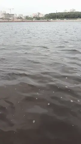 #furina #фурина #рекомендации #cosplay #косплей #fyp 