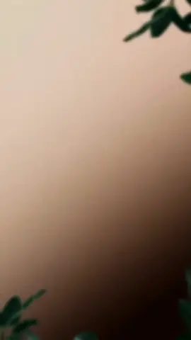 Fixador para Cabelos Extra Forte Mood Care Spray 150ml My Health#fixador #cabelo