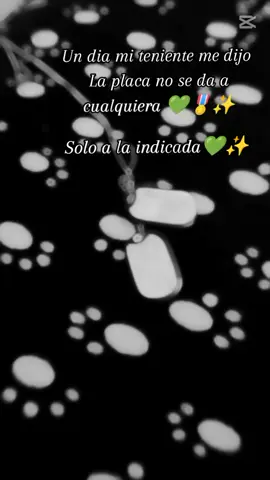 #paratiiiiiiiiiiiiiiiiiiiiiiiiiiiiiii #18añitos🇧🇴💚 #Boliviano🇧🇴🇧🇴 #Plaquita #viral #capcut 