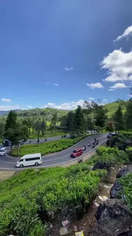view kebun teh rancabali memang indah🥰🥰 #lagusunda  #rancabaliciwidey 