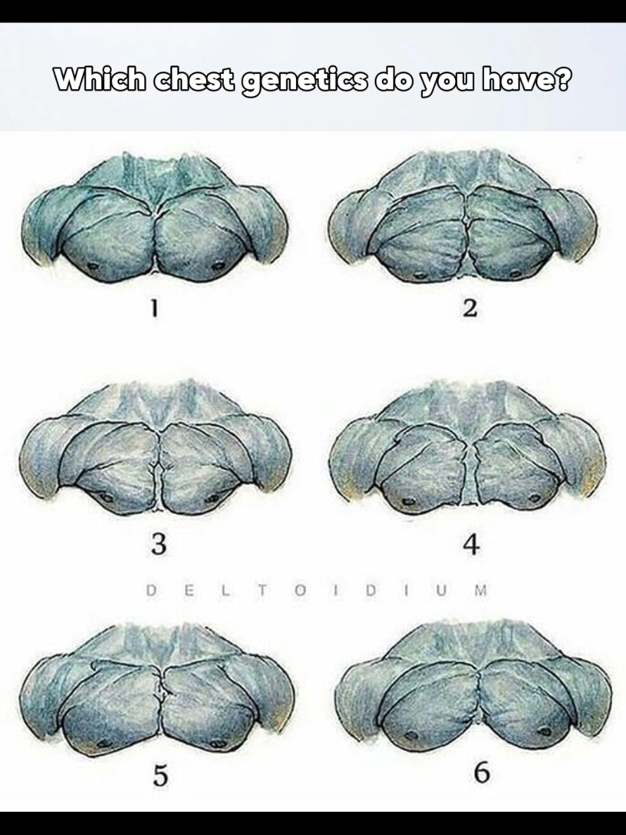 Which one do you think is the best chest genetics? #chest #chestgenetics #chestday 
